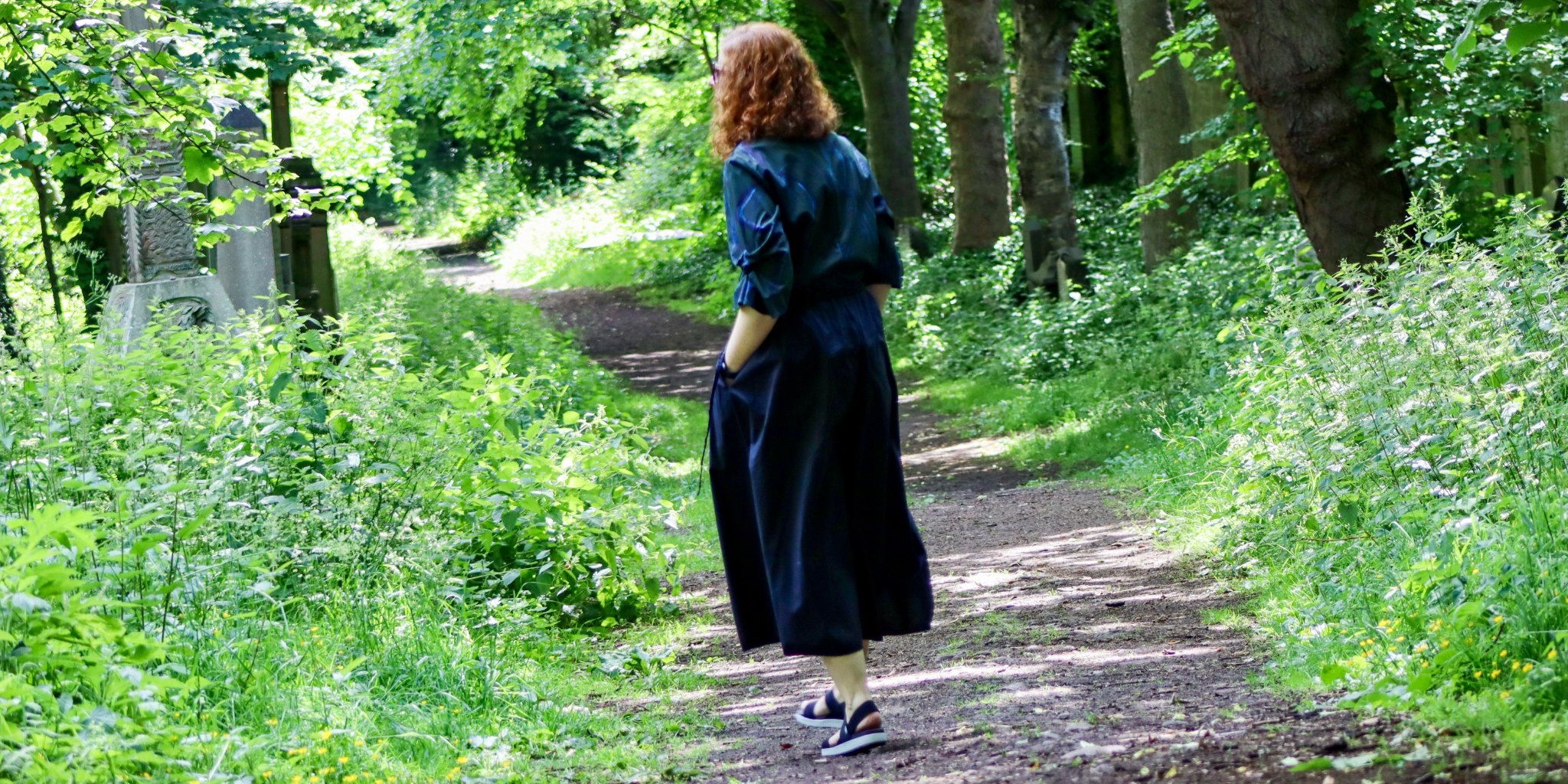 Wald Grün Farben Ruhe wandeln Fluchtort entspannen