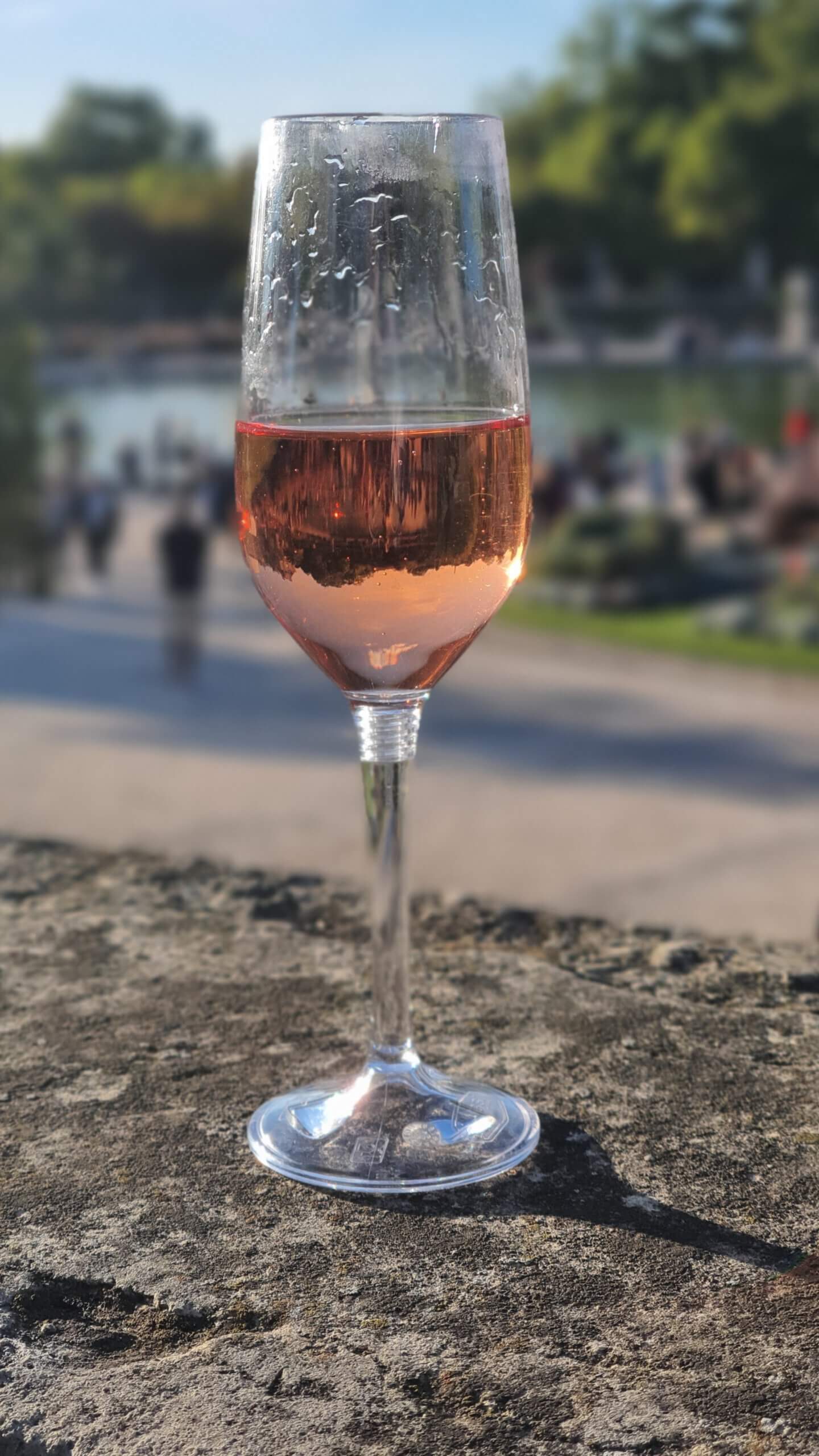 Champagner im jardin du Luxembourg Paris