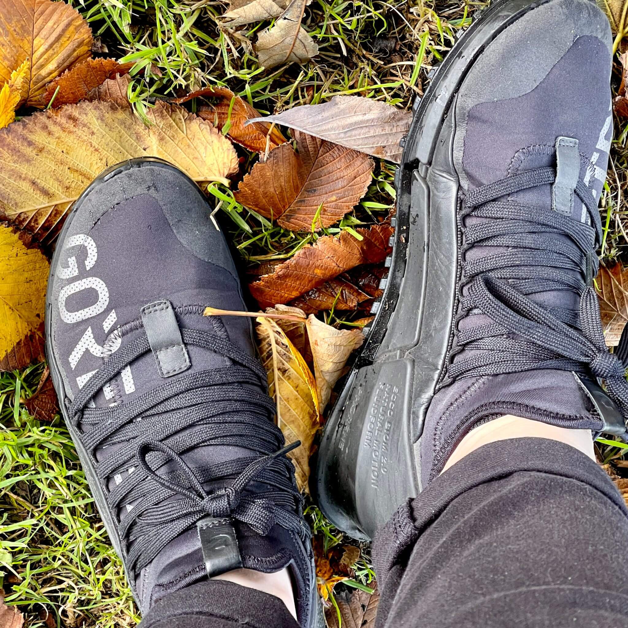 Sneaker im Herbst die besten Schuhe für trockene Füsse Ecco GoreTex Biom