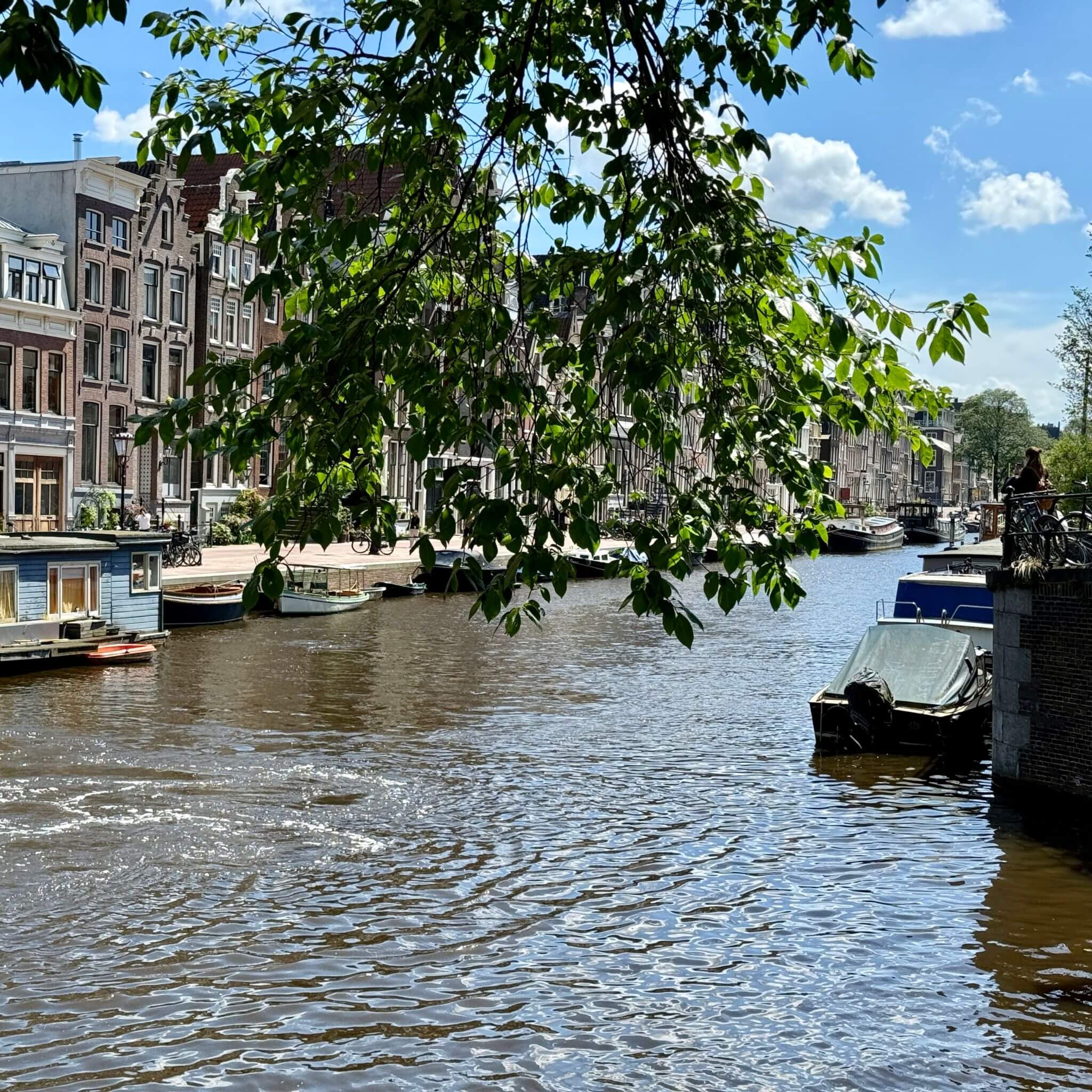 Restaurant-Tipp Amsterdam Städtereise kulinarisch Essen gehen Grachten Französisch 