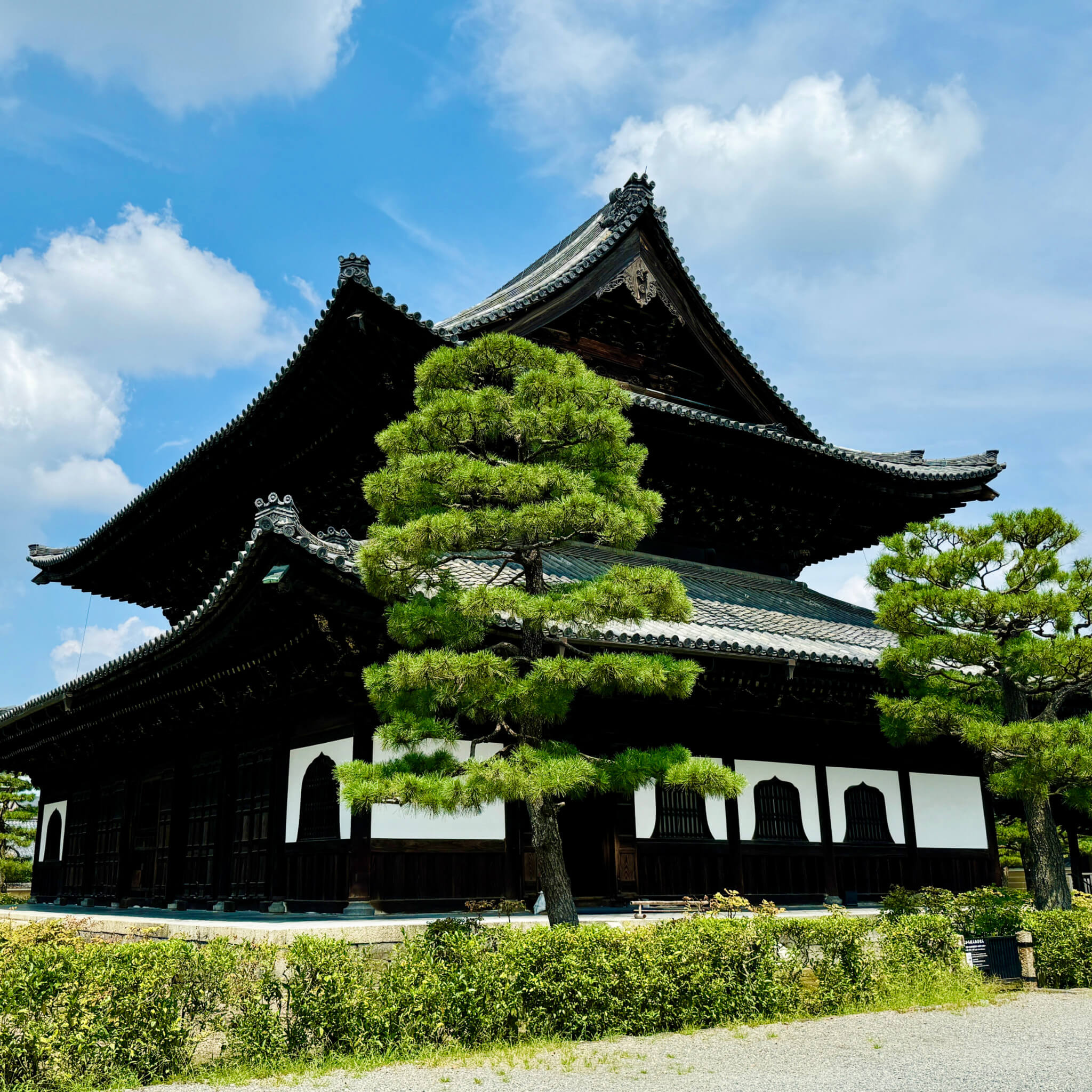 Japan nur mit Handgepäck Reiseroute Tipps July Trunk Carry-on