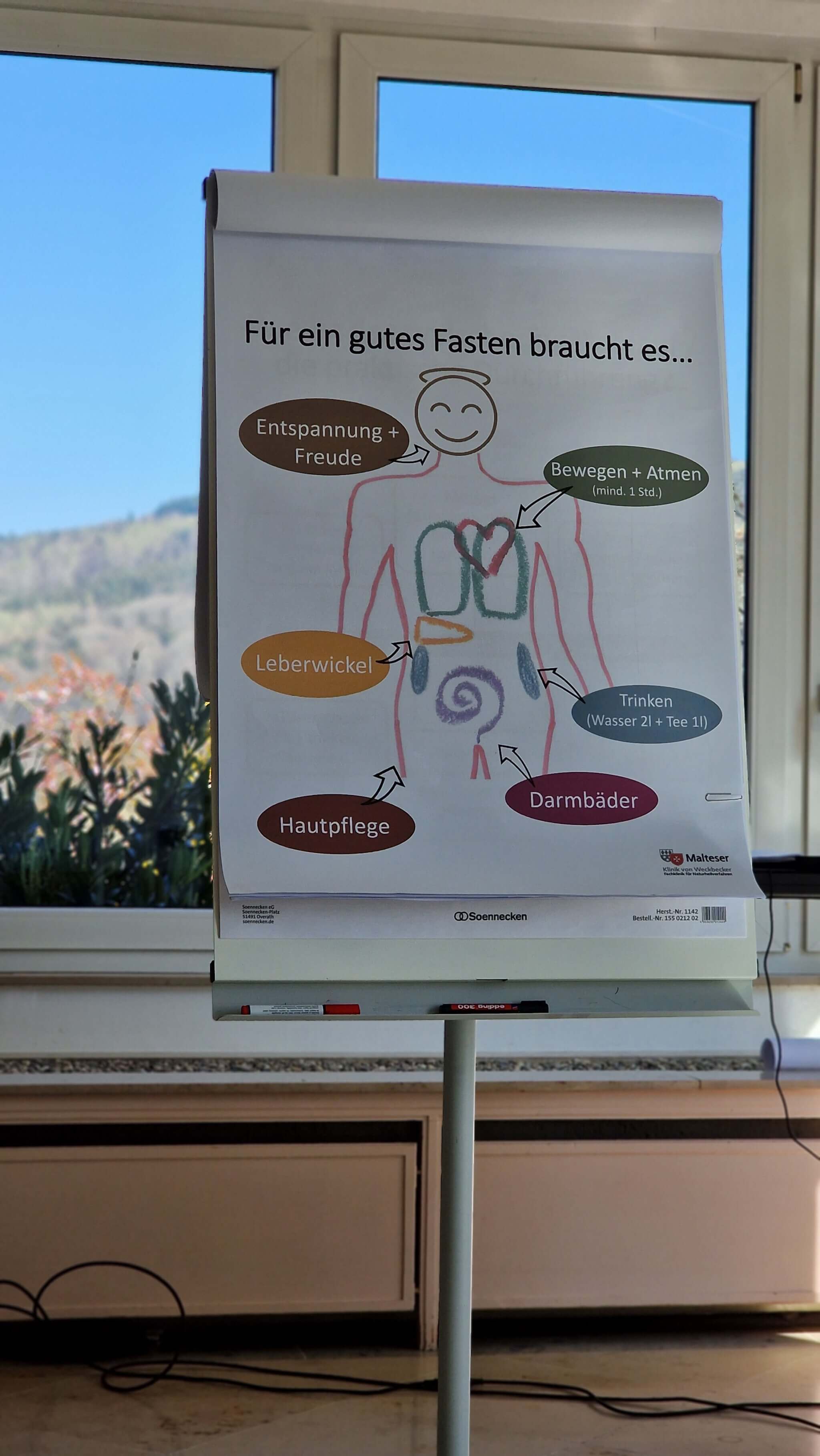 Heilfasten Erfahrungen in der Weckbecker Klinik Bad Brückenau 